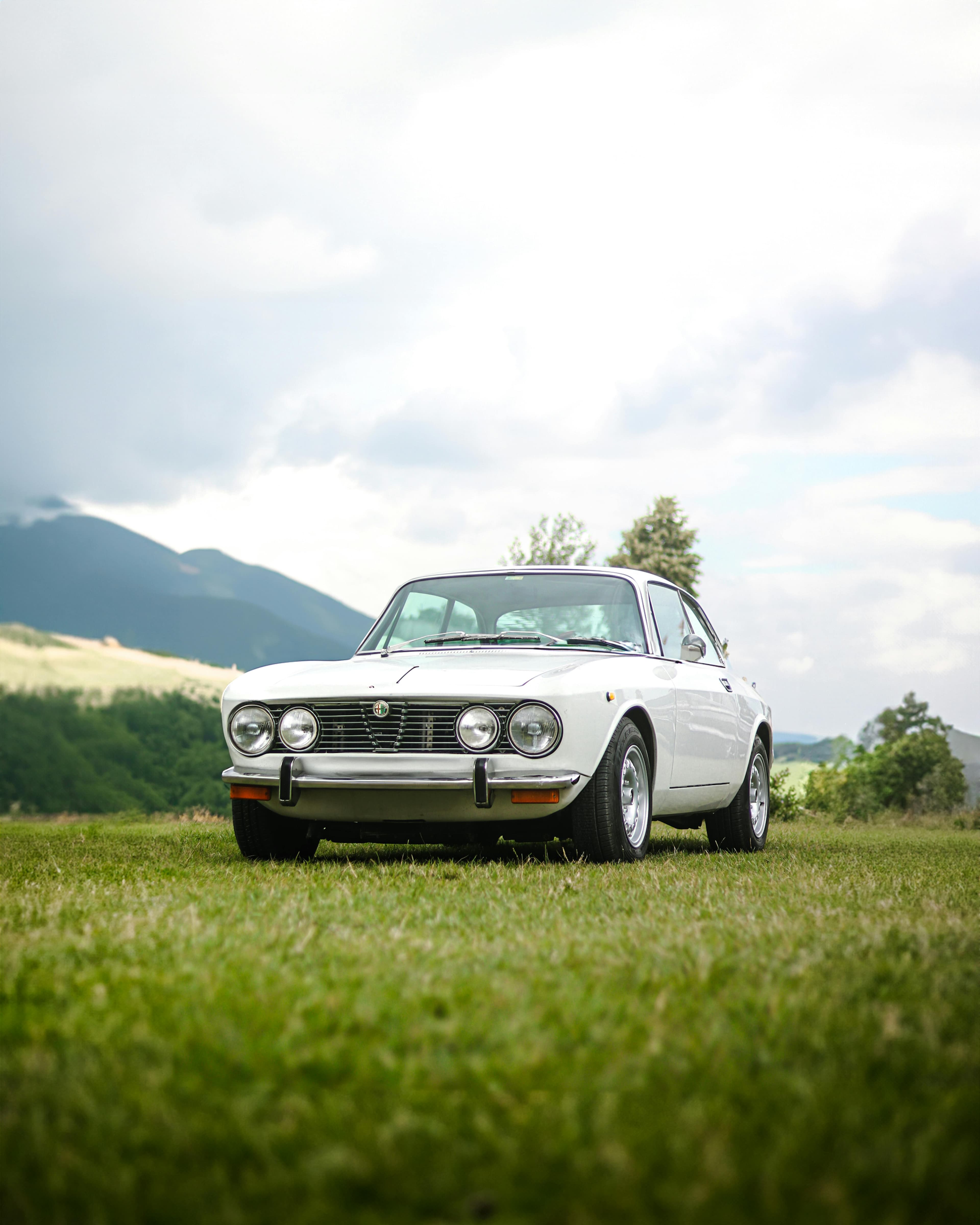 Araç kiralama large banner