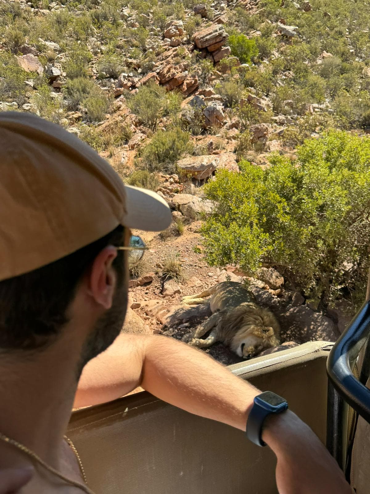 Cape Town galeri görseli 12