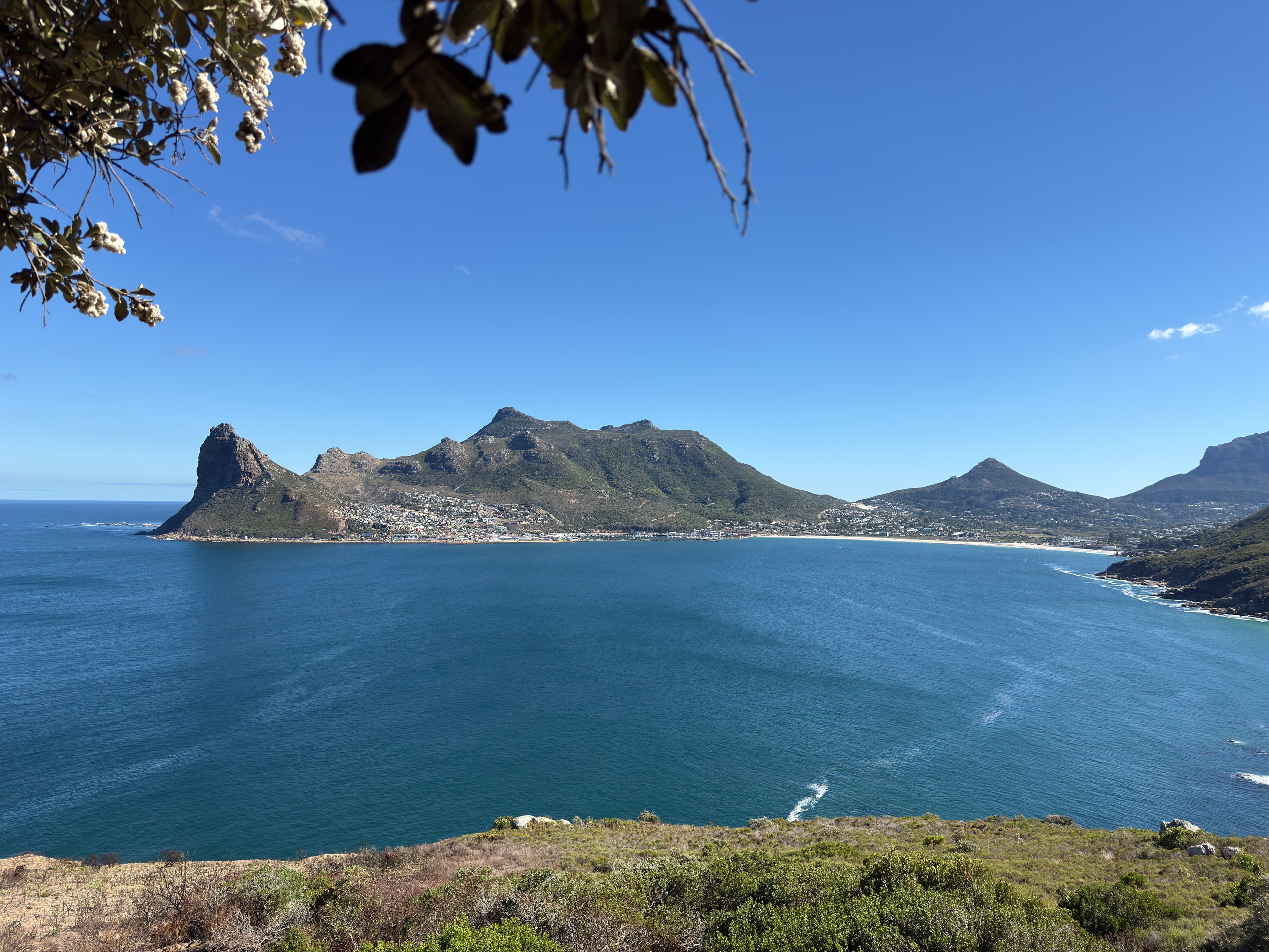 Chapman's Peak Drive: Cape Town'un En Büyüleyici Sahil Yolu